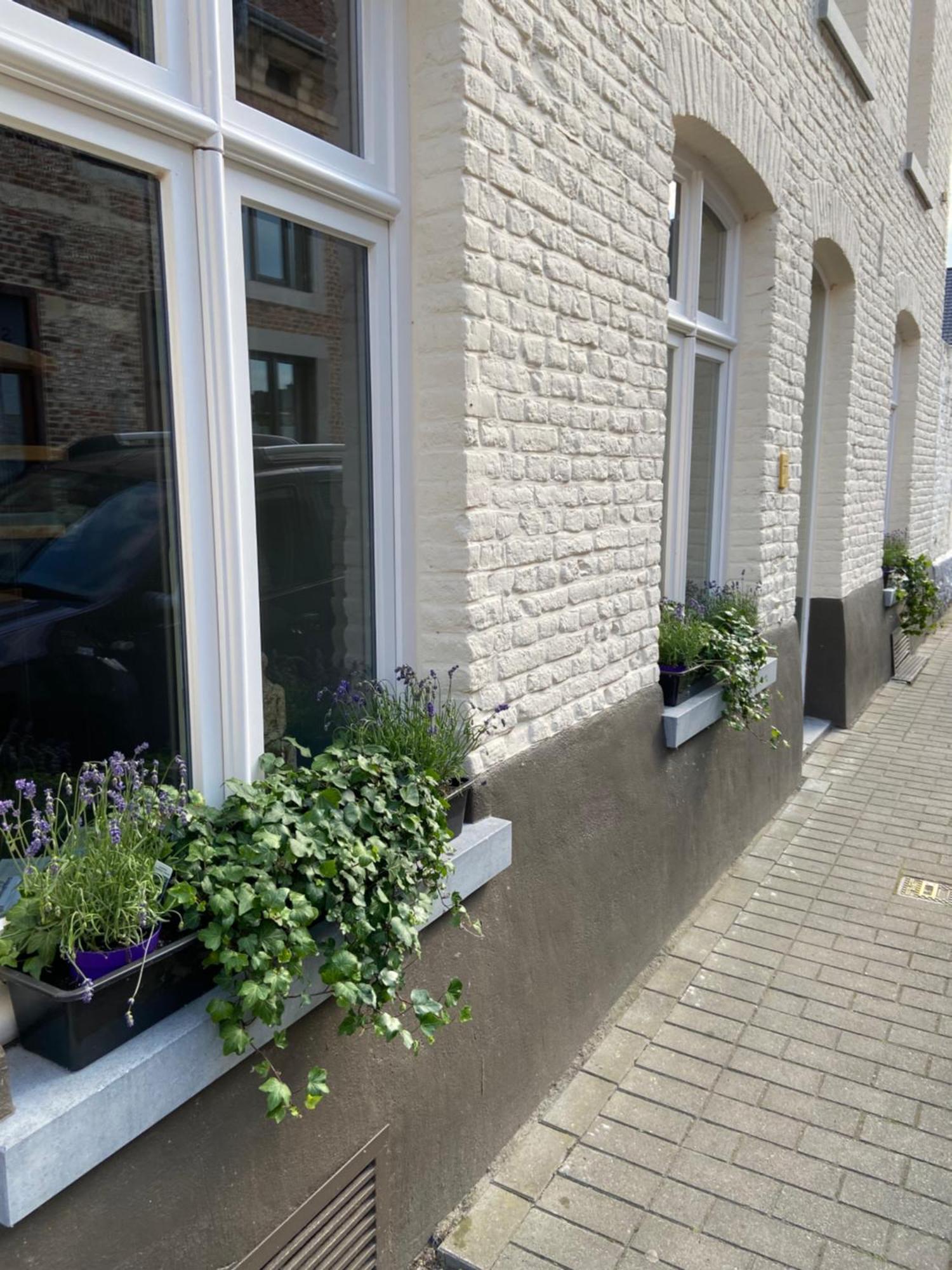 Begijnhofstudio's